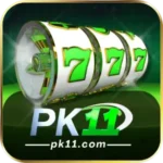 Pk11